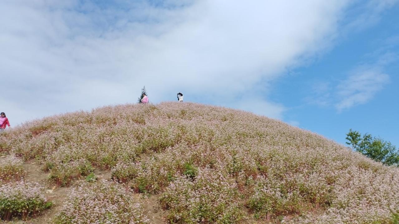 Huy Man Homestay Hà Giang Eksteriør billede