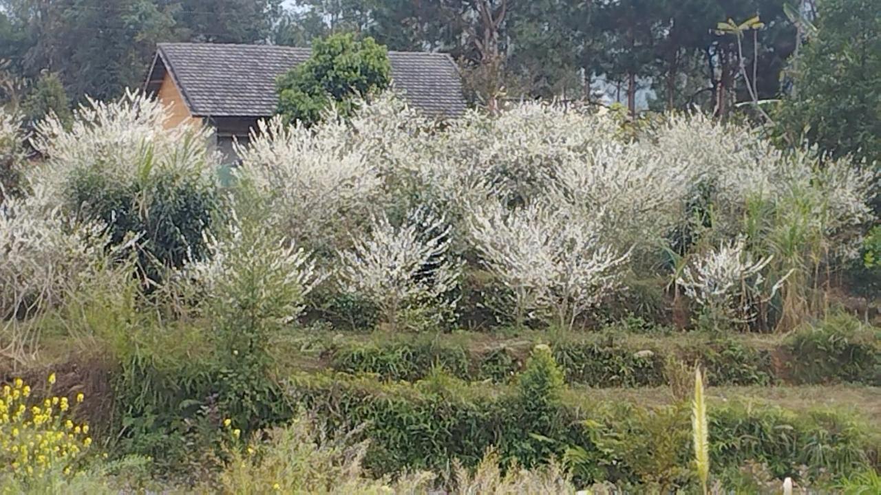 Huy Man Homestay Hà Giang Eksteriør billede