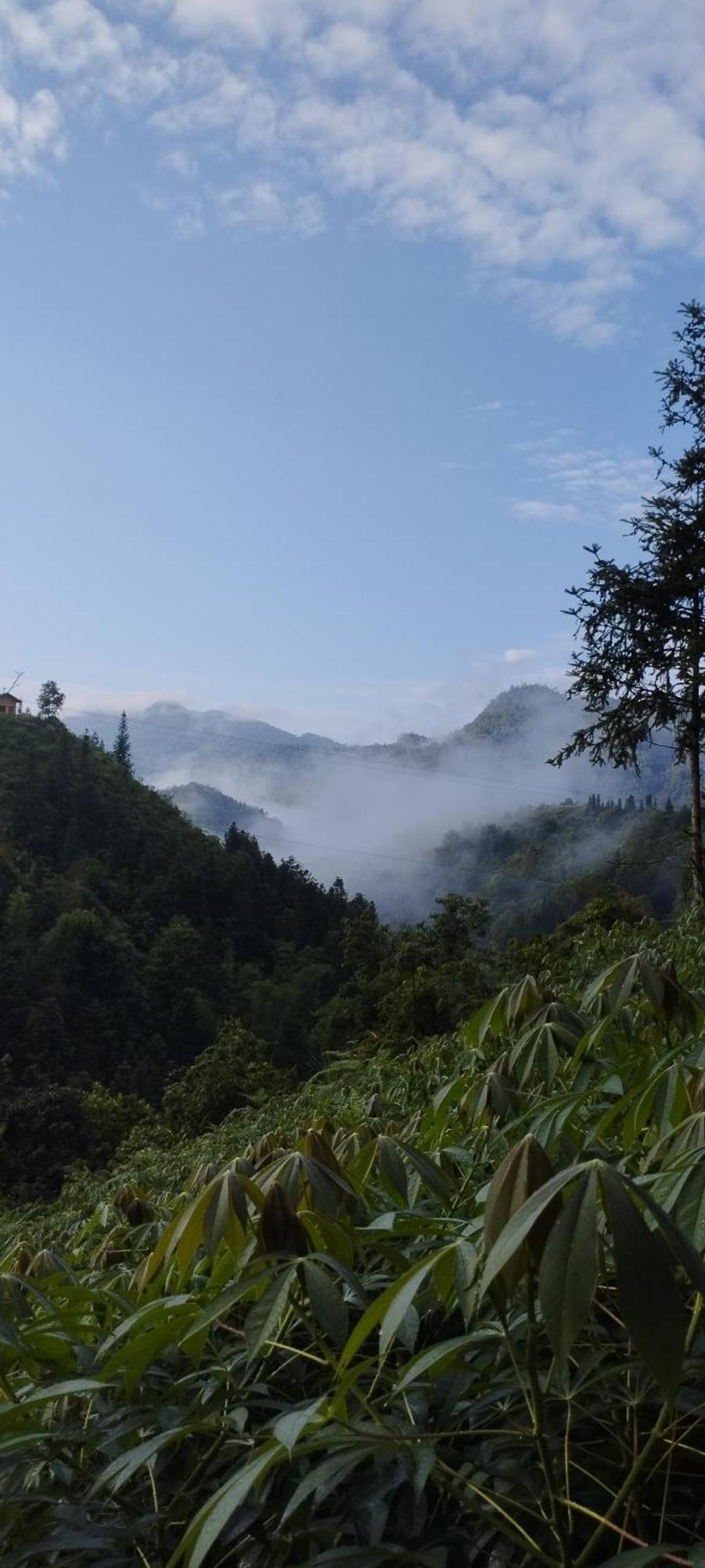 Huy Man Homestay Hà Giang Eksteriør billede